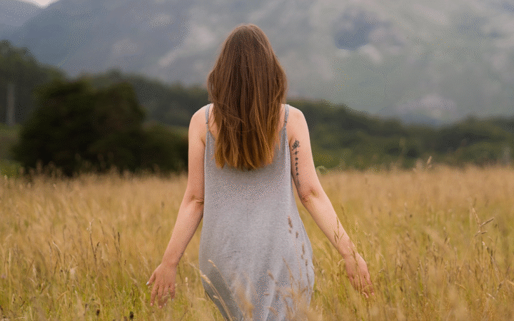 blog